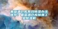 葡萄酒仓库有效除湿办法推荐？葡萄酒仓库除潮长征娱乐除湿机