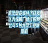 武汉盘龙城经济开发区天纵城广场订购我公司5台大型长征娱乐除湿机
