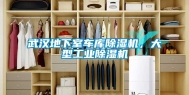 武汉地下室车库除湿机，大型长征娱乐除湿机