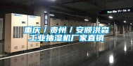 重庆／贵州／安顺洪森长征娱乐抽湿机厂家直销