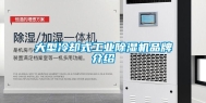 大型冷却式长征娱乐除湿机品牌介绍