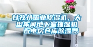 甘孜州长征娱乐除湿机，大型车间地下室抽湿机  配电房仓库除湿器
