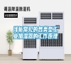浅析常见的各类型长征娱乐加湿器的工作原理