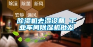 除湿机去湿设备 长征娱乐车间除湿机批发