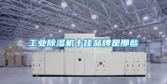 长征娱乐除湿机十佳品牌是那些
