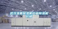 武汉湿菱除湿机长征娱乐除湿机价格