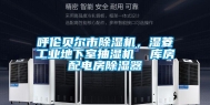 呼伦贝尔市除湿机，湿菱长征娱乐地下室抽湿机  库房配电房除湿器