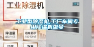 长征娱乐型除湿机,工厂车间专用除湿机型号
