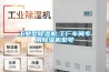 长征娱乐型除湿机,工厂车间专用除湿机型号