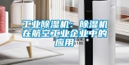长征娱乐除湿机：除湿机在航空长征娱乐企业中的应用