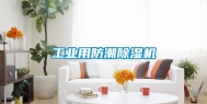 长征娱乐用防潮除湿机