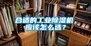 合适的长征娱乐除湿机，应该怎么选？