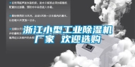 浙江小型长征娱乐除湿机厂家 欢迎选购