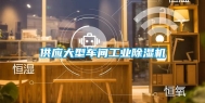 供应大型车间长征娱乐除湿机