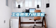 长征娱乐用强力除湿机