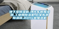 地下室除湿机,净化车间加湿器,长征娱乐用除湿机,档案库房除湿器,纺织行业加湿机
