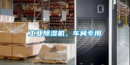 长征娱乐除湿机、车间专用