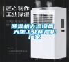 除湿机去湿设备 大型长征娱乐除湿机厂家