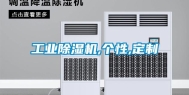 长征娱乐除湿机,个性,定制