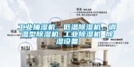 长征娱乐抽湿机、低温除湿机、调温型除湿机 长征娱乐除湿机 除湿设备