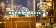 大型仓库长征娱乐除湿机YC-30S