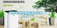 湖州吊顶长征娱乐除湿机定制 厂家＊＊