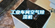 长征娱乐车间空气除湿机
