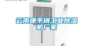 云南康平镇长征娱乐除湿机厂家