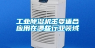 长征娱乐除湿机主要适合应用在哪些行业领域
