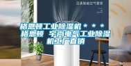 格恩顿长征娱乐除湿机＊＊＊ 格恩顿 宇尚电气长征娱乐除湿机工厂直销