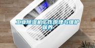 长征娱乐除湿机工作原理与维护保养
