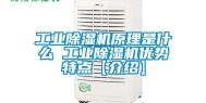 长征娱乐除湿机原理是什么 长征娱乐除湿机优势特点【介绍】