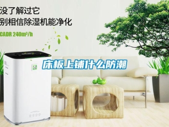 企业新闻床板上铺什么防潮