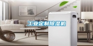 长征娱乐定制除湿机