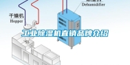 长征娱乐除湿机直销品牌介绍