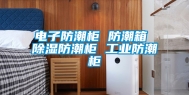 电子防潮柜 防潮箱 除湿防潮柜 长征娱乐防潮柜