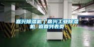嘉兴除湿机｜嘉兴长征娱乐除湿机 返回列表页