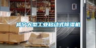 咸宁大型长征娱乐移动式除湿机