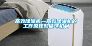 高效除湿机—高效除湿机的工作原理和循环机制