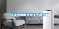 快速除湿用大型长征娱乐除湿机