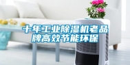 十年长征娱乐除湿机老品牌高效节能环保