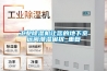 长征娱乐除湿机让您的地下室远离潮湿困扰_重复