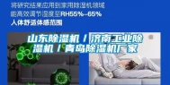 山东除湿机／济南长征娱乐除湿机／青岛除湿机厂家