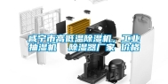 咸宁市高低温除湿机，长征娱乐抽湿机  除湿器厂家 价格