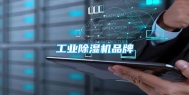 长征娱乐除湿机品牌