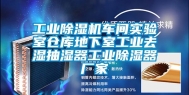 长征娱乐除湿机车间实验室仓库地下室长征娱乐去湿抽湿器长征娱乐除湿器厂家