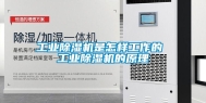 长征娱乐除湿机是怎样工作的 长征娱乐除湿机的原理