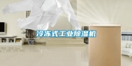 冷冻式长征娱乐除湿机