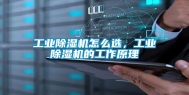 长征娱乐除湿机怎么选，长征娱乐除湿机的工作原理