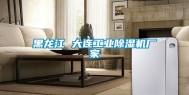 黑龙江 大连长征娱乐除湿机厂家